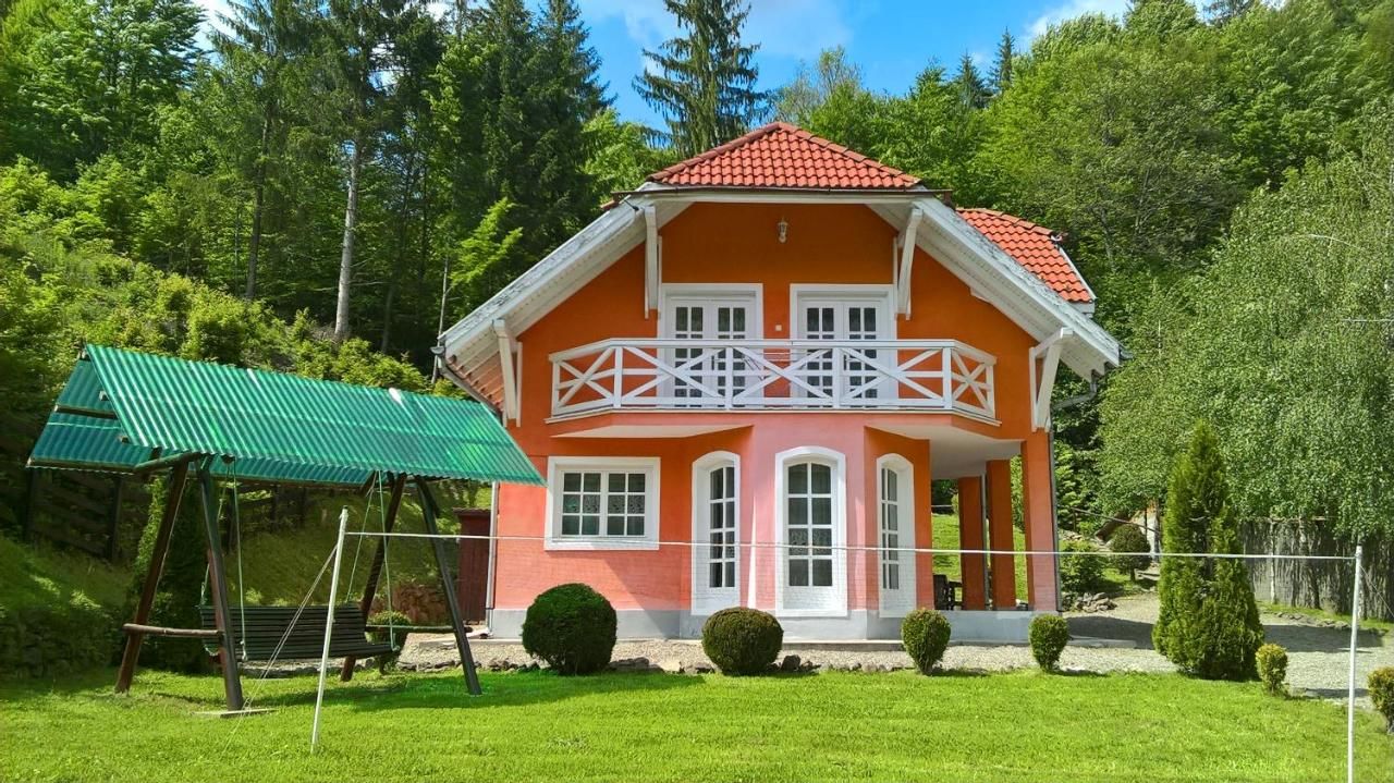 Дома для отпуска Casa Banucu Satu Mare-4