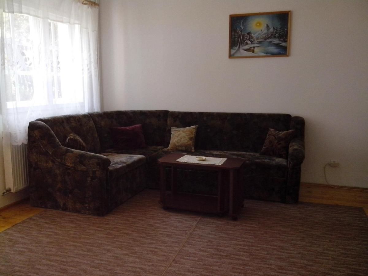 Дома для отпуска Casa Banucu Satu Mare