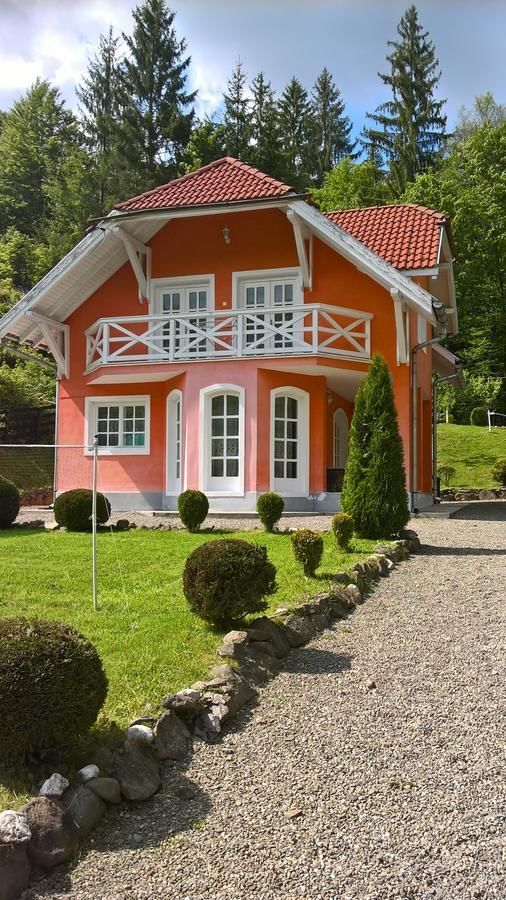 Дома для отпуска Casa Banucu Satu Mare-5