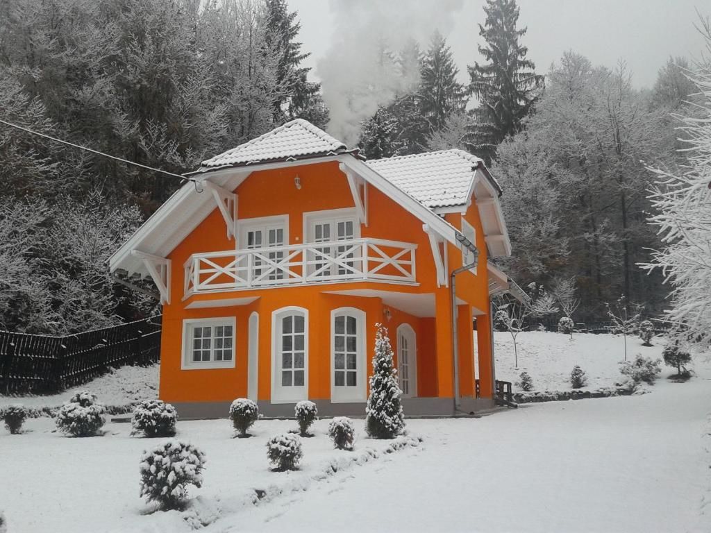 Дома для отпуска Casa Banucu Satu Mare-25